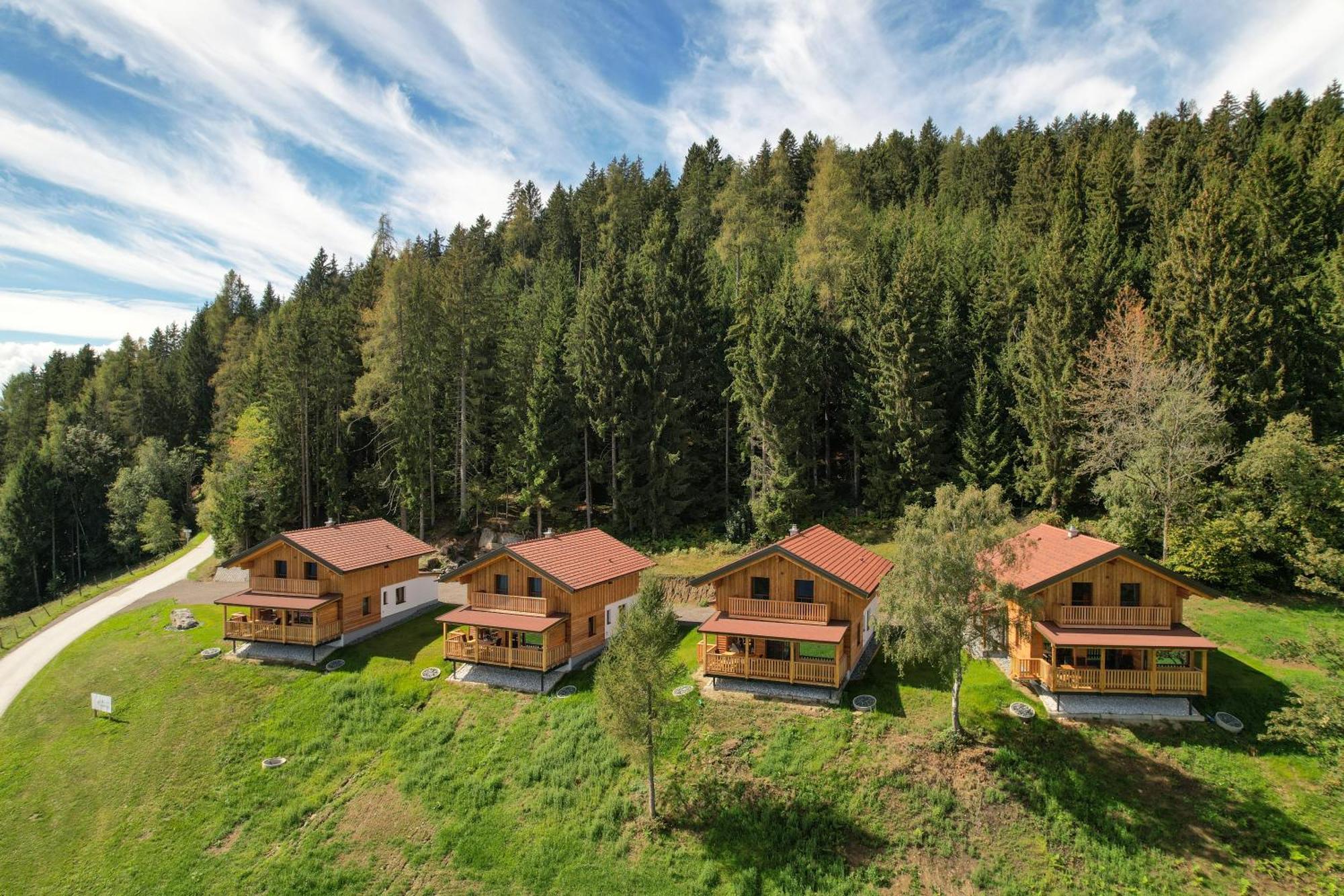 Erlebnisbauernhof Steinerhof In Kaernten Liebenfels 外观 照片